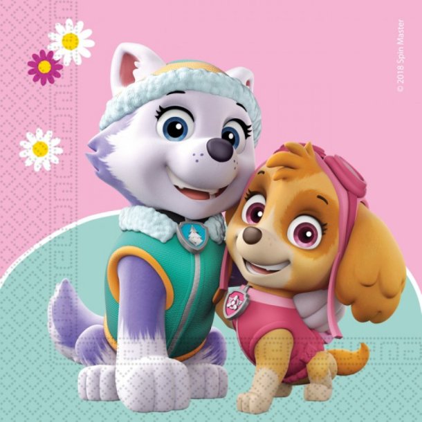 Paw Patrol Serviet - Skye og Everest 20stk