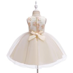 WAC Mesh festkjole - Broderi (champagne)